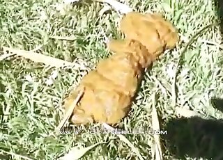 Liquid shit and piss by an amateur athletic babe