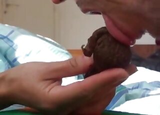 Fast paced editing at the start of this porn vid