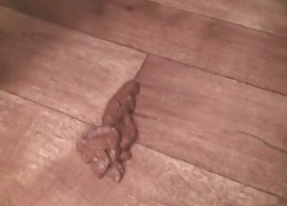 Smiling bitch is about to give you the hottest action